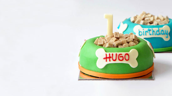 Dog Birthday Cakes Green Blue with Candle