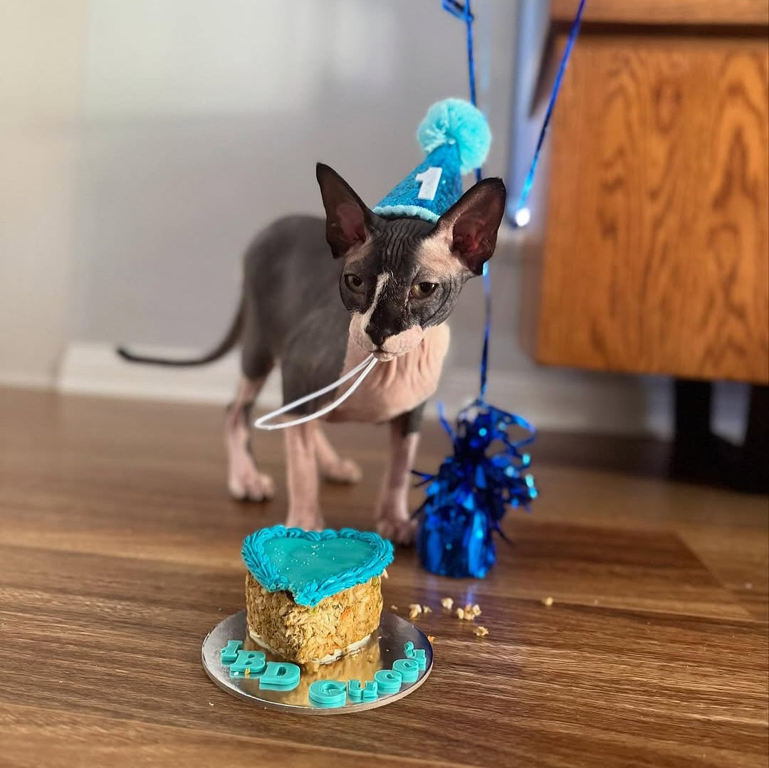 Cat Birthday Cake Custom Design