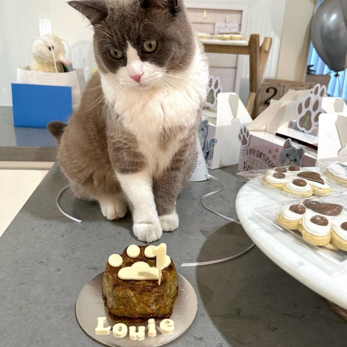 Cat-Birthday-Cake-Paw-Cat-Cake-Social