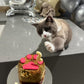 Cat Birthday Cake for Cats