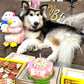 Cat & Dog Birthday Crown - Pink Sparkle