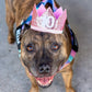 Cat & Dog Birthday Crown - Pink Sparkle