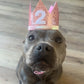 Cat & Dog Birthday Crown - Pink Sparkle