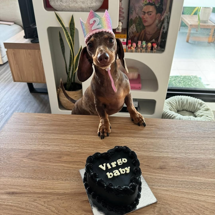 Cat & Dog Birthday Crown Rainbow Sparkle Dachshund Sausage Dog