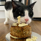 Cat Food Birthday Cake Obi