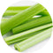 CELERY