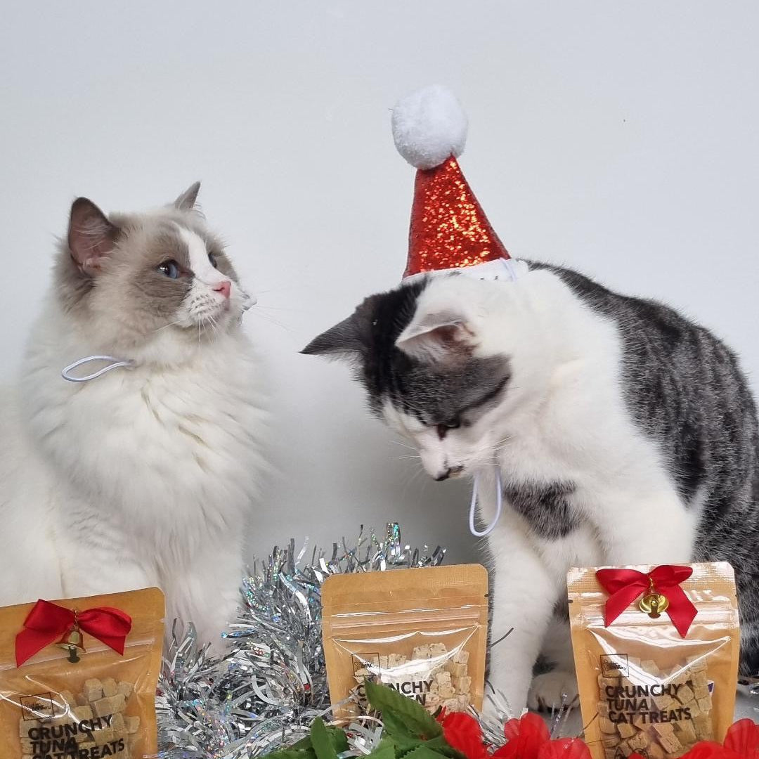 Christmas Cat Hat