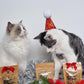 Christmas Cat Hat