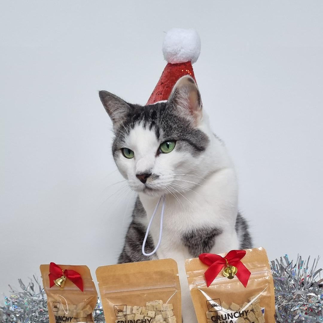 Christmas Hat for Cats