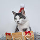 Christmas Hat for Cats