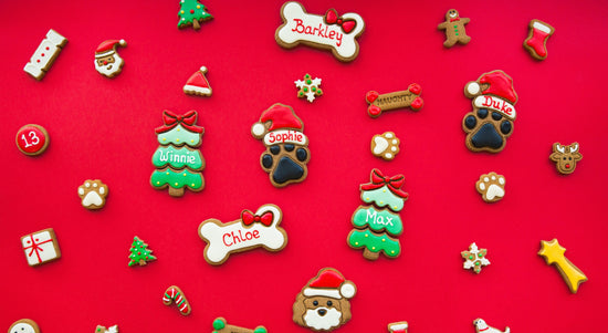 Christmas Dog Gifts Personalised Dog Treats Biscuits