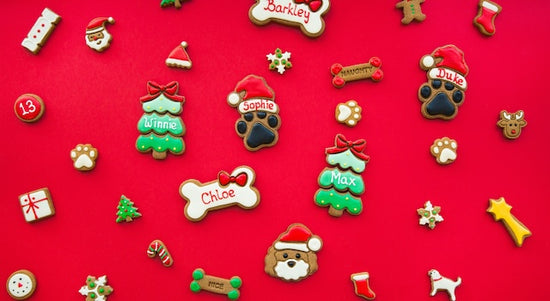Christmas Dog Gifts Personalised Dog Treats Biscuits