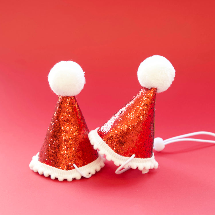 Christmas Dog Santa Hat Cat Santa Hat 