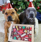 Christmas Dog Santa Hat Staffy