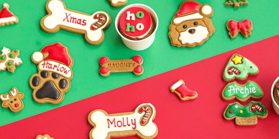 Christmas Dog Treats Personalised Gifts