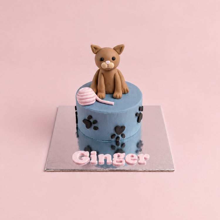 Custom Cat Cake for Your Kitty&