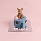 Custom Cat Cake for Your Kitty&