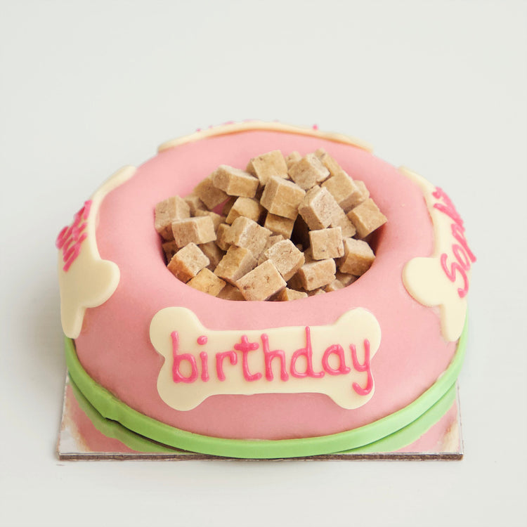 Dog Birthday Cake Bowl With Dog Treats Tuna Pink