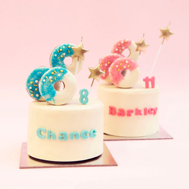 Dog Birthday Cake Donut Dog Cake Pink Bg