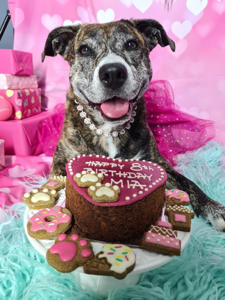 Dog Birthday Cake Heart PInk Social