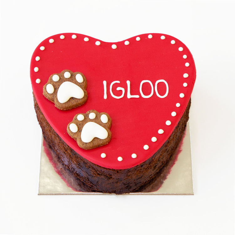 Dog Birthday Cake Heart Red Igloo