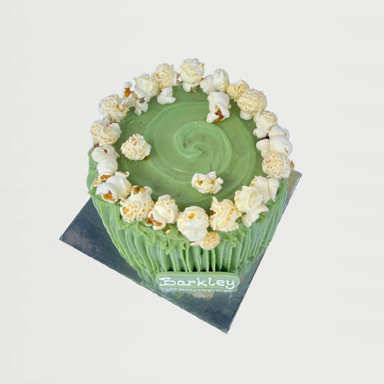 Dog Birthday Cake Popcorn Delight Overhead