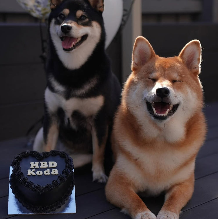 Dog Birthday Cake Black Vintage Heart Dog Cake