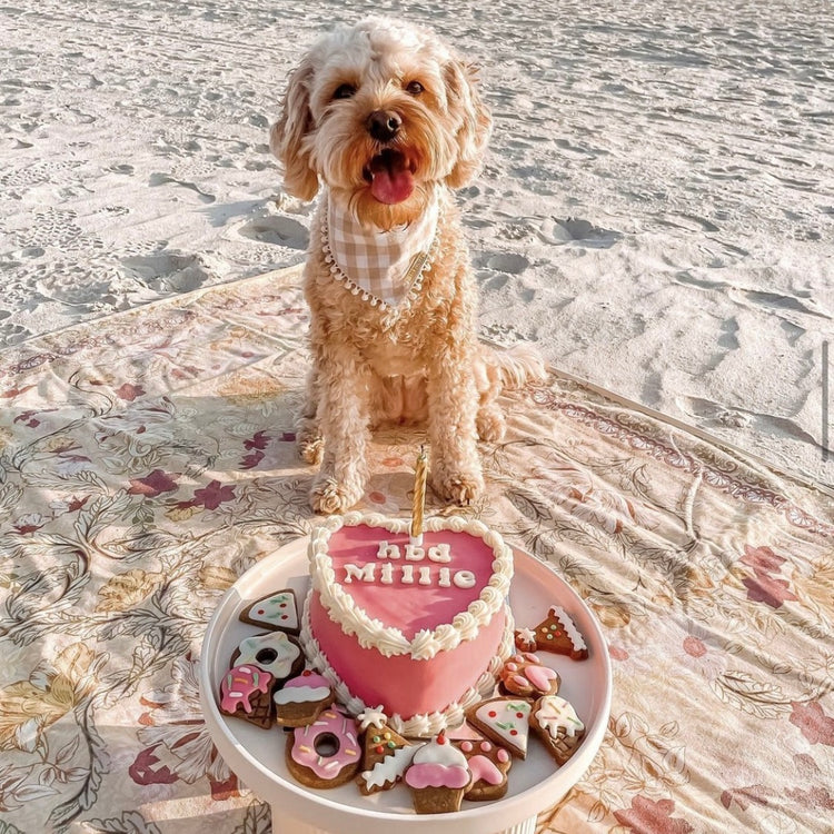 Dog-Birthday-Cake-Vintage-Heart-Dog-Cake-Social-1