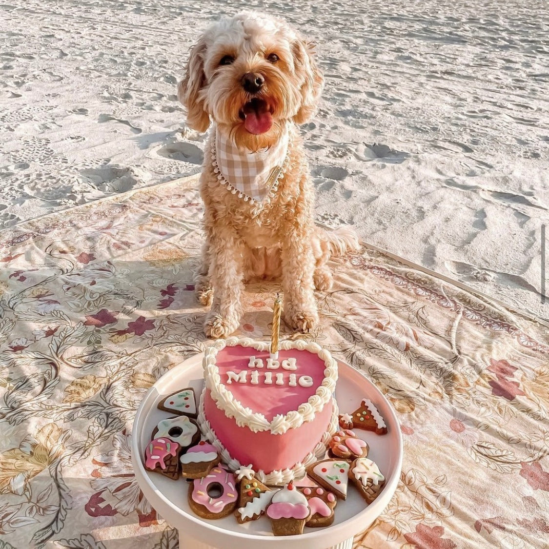 Millie with Dog Birthday Cake Vintage Heart Dog Cake Pink