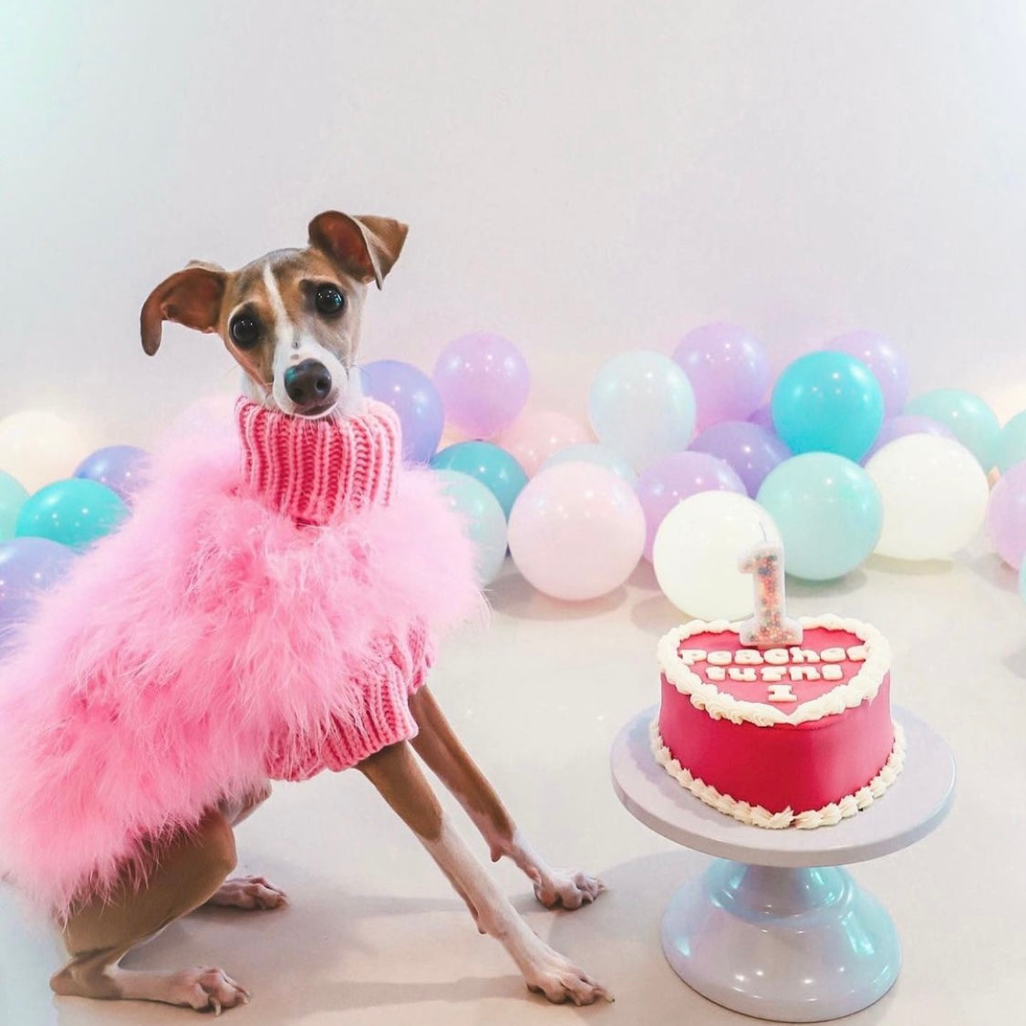 Peaches with Dog Birthday Cake Vintage Heart Dog Cake Pink