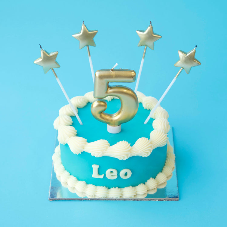 Dog Birthday Cake Vintage Round Dog Cake Blue Candles Mix