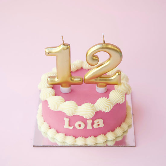 Dog Birthday Cake Vintage Round Dog Cake Pink Number Candles