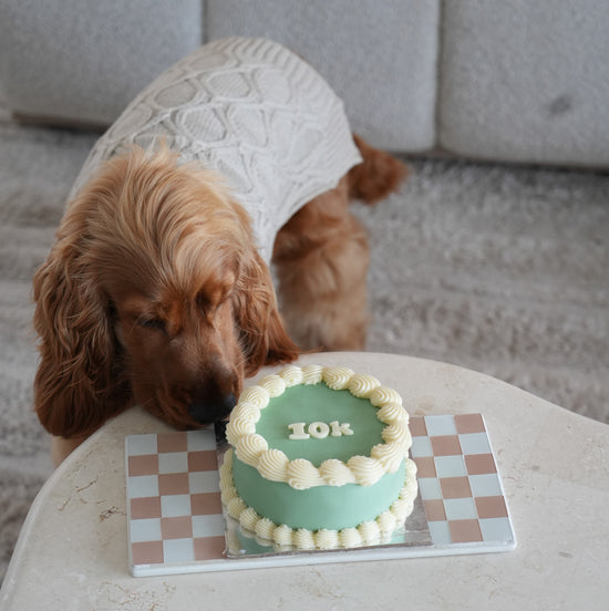 Dog Birthday Cake Vintage Round Sage