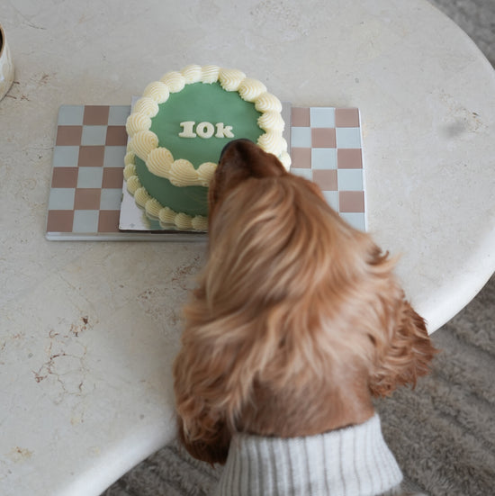 Dog Birthday Cake Vintage Round Sage 10K