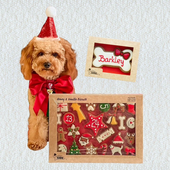 Dog Biscuit Advent Calendar, Santa Hat & Personalised Bone Bundle