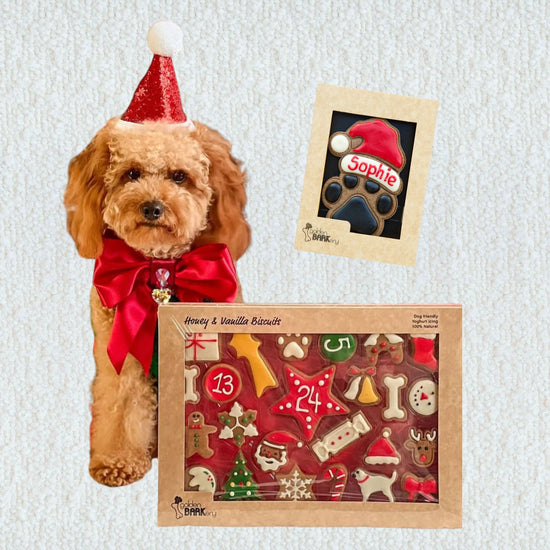 Dog Biscuit Advent Calendar, Santa Hat & Personalised Santa Paw Bundle