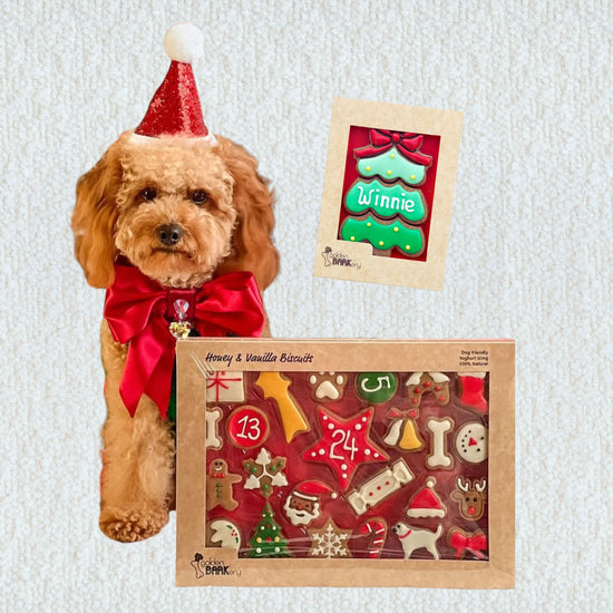 Dog Biscuit Advent Calendar, Santa Hat & Personalised Tree Bundle