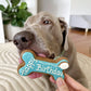 Dog Biscuits Happy Birthday Dog Bone Blue