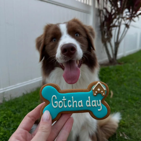 Dog Biscuits Happy Gotcha Day Bone