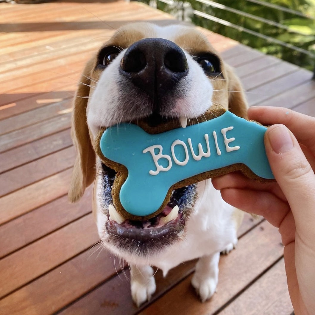 Personalised Dog Biscuits Treat Bowie