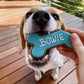 Personalised Dog Biscuits Treat Bowie