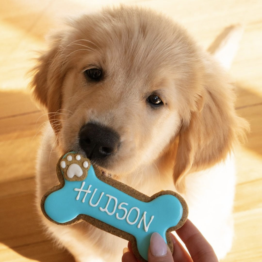 Personalised Dog Biscuits Treat Hudson