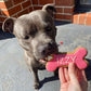 Personalised Dog Biscuits Treat Izzy