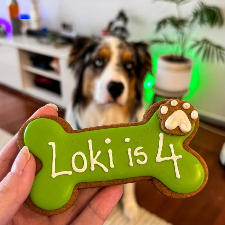 Personalised Dog Biscuits Treat Loki