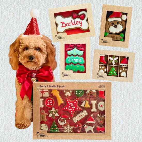 Dog Christmas Gift Ideas - Christmas Haul No 1