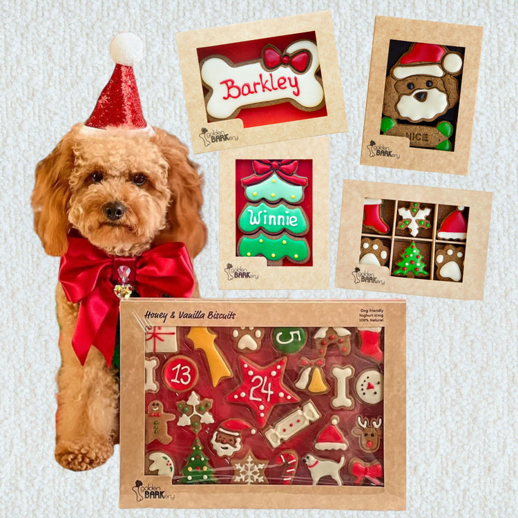 Dog Christmas Gift Ideas - Christmas Haul No 1