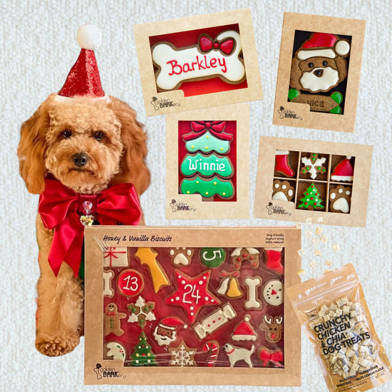 Dog Christmas Gift Ideas - Christmas Haul No 2