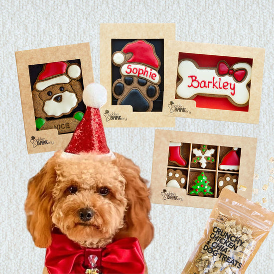 Dog Christmas Gift Ideas - Christmas Haul No 4
