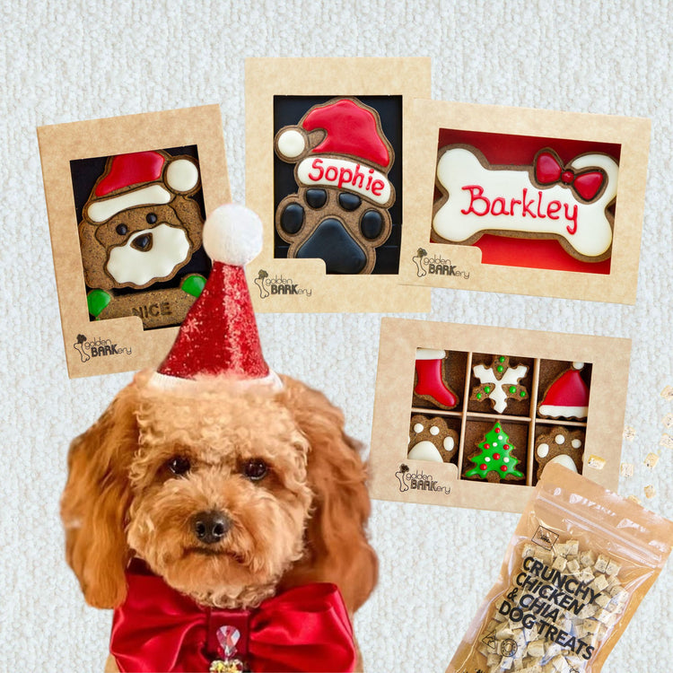 Dog Christmas Gift Ideas - Christmas Haul No 4