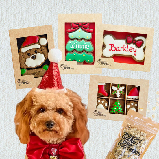 Dog Christmas Gift Ideas - Christmas Haul No 4